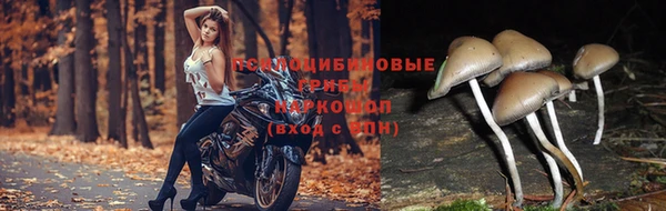 мяу мяу мука Балабаново