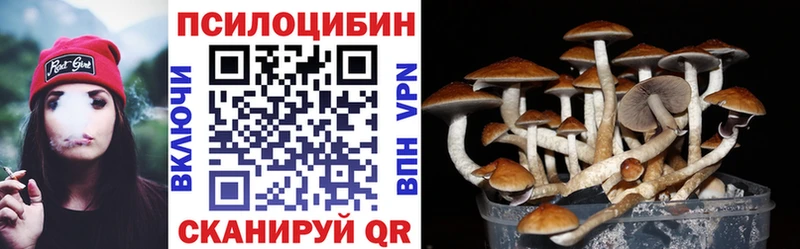 дарнет шоп  Всеволожск  Псилоцибиновые грибы GOLDEN TEACHER 